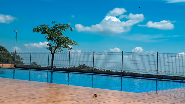 Panoramic view of a tranquil swimming pool with a lush green tree and a vast blue sky filled with fluffy clouds