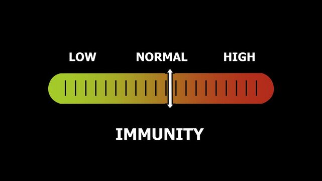 immunity level indicator scale. Low normal & high meter infographic animation. Showing high immunity level color gauge indicator. on a black background 4k animation video