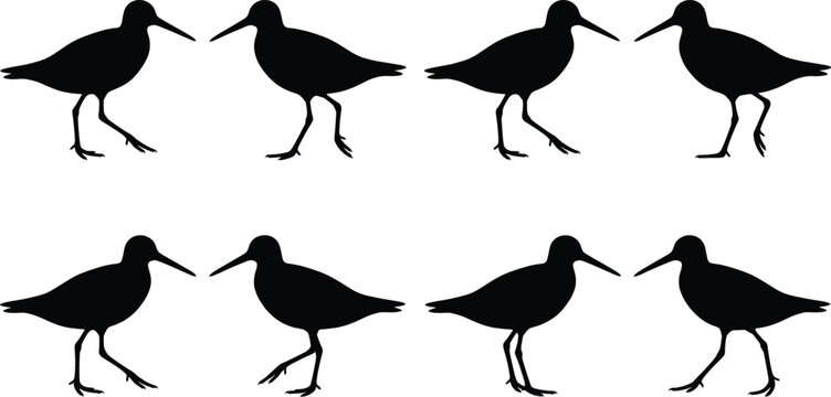 Sandpiper bird black silhouette vector set, shorebird illustrations isolated on white background