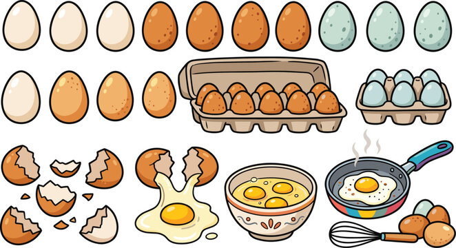 Collection of fresh chicken eggs, egg cartons, broken shells, and cooking elements, vector illustration