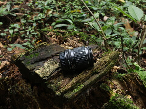 a camera lens on top of a tree log
