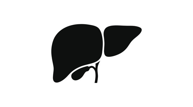 Human Liver and Gallbladder Silhouette Vector