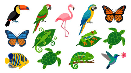Fototapeta premium Tropical animals collection with exotic birds and jungle wildlife, colorful rainforest creatures set, 13 vector icons of toucan parrot and flamingo