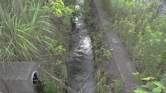 Tilt up shot of a concrete drainage ditch with flowing wastewater extending through green bushes