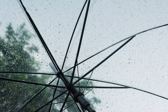 Close-up of a transparent umbrella with raindrops after rain at sunset.