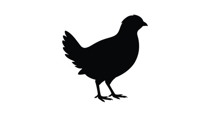 Fototapeta premium Partridge Silhouette Against A White Background Silhouette