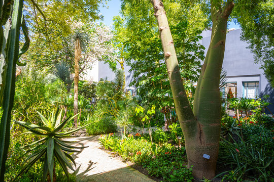 Visitors walk through the secret garden in Marrakesh. Green plants surround paths, offering a chance to enjoy nature. The space is filled with diverse vegetation under sunny skies.