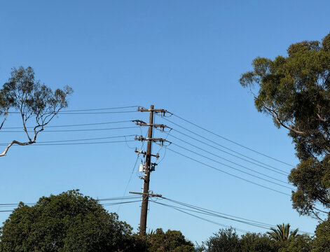 Electricity pylon and trees under blue sky