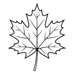 Fototapeta premium Maple leaf is presented as a clean black and white outline drawing for seasonal graphic resources.