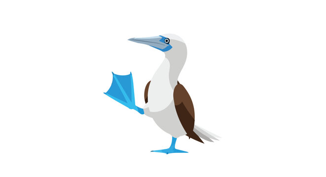 Tropical blue footed booby bird isolated on white background showing its iconic colorful webbed feet