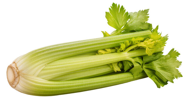 Fresh green celery stalks with leaves
