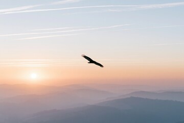 Fototapeta premium The Eagle in Flight Across Sunrise Skies Over Misty Mountain Horizon