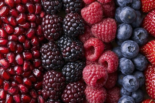 The vibrant mixed berry assortment close-up featuring red raspberries blueberries and blackberries