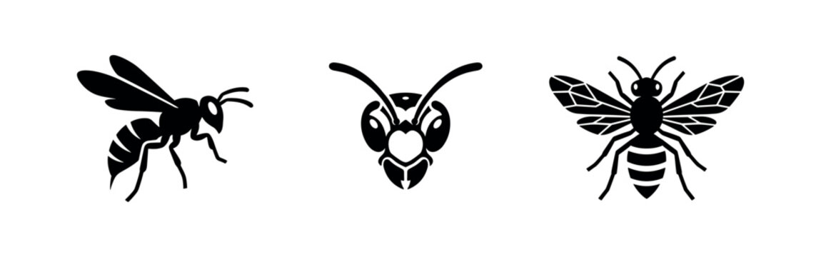 Three black silhouette wasp icons, depicting a flying wasp, head, and winged insect.
