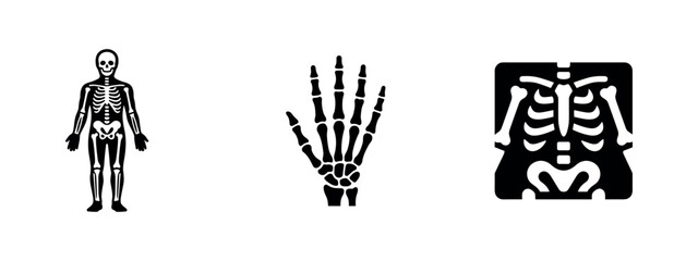 Fototapeta premium Human skeleton icons for anatomy and medical illustration