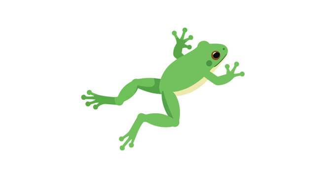 Vibrant Green Tree Frog Vector Illustration Jumping Isolated on White Background Leaping Amphibian Animal