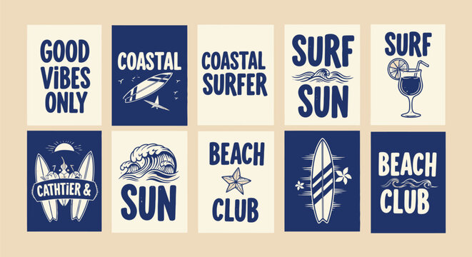 Colorful seashell vector collection diverse marine mollusk shell illustrations