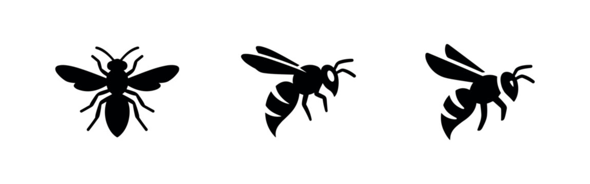 Wasp insect bug icon set. Bee or hornet nature symbols for stinging insects and garden pests.