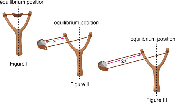 Opening the sling rubber band more than its equilibrium position allows for the storage of more elastic potential energy within the rubber band. The relationship between slingshots and energy.