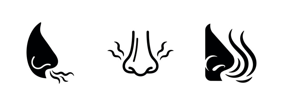 Sense of Smell and Nose Icons Set - Human Olfactory Perception