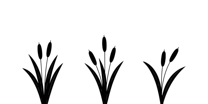 Plant Icons Arrangement of Three Stylized Black-and-White Sprouts with Oval Buds on a White Background