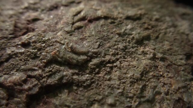 Macro camera glide across weathered stone texture