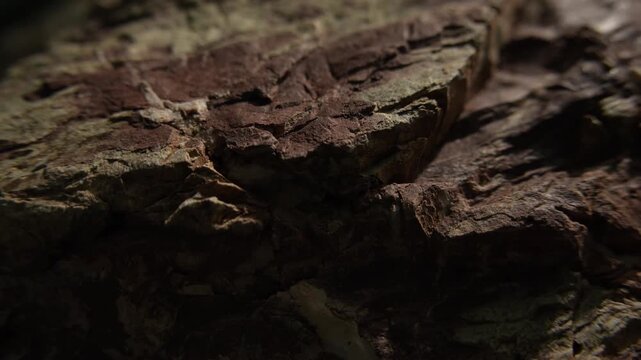 Slow camera glide across weathered stone with ending copy space