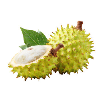 Raw Custard Fruit with Green Leaves in Studio Lighting for Food Industry