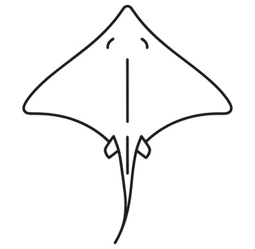 Simple line drawing of a smiling stingray from above  marine animal illustration
