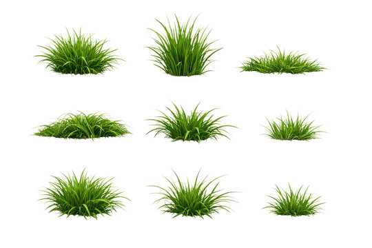Realistic green grass tufts collection, ornamental lawn clumps and meadow plants, natural groundcover design elements isolated PNG with Transparent Background