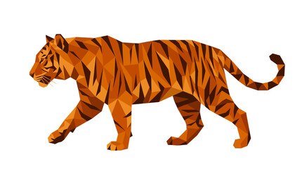 Fototapeta premium A tiger walks slowly across a plain area in profile view.