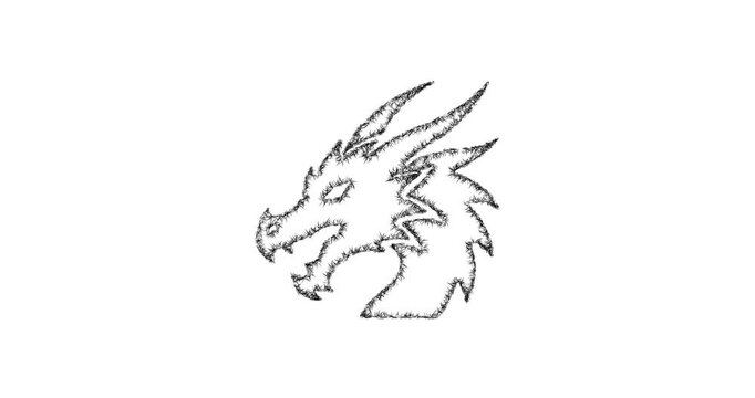 Sketch dragon head icon animation - smooth progressive reveal