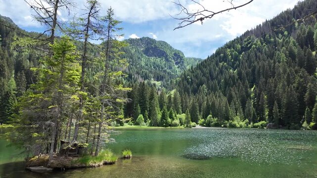 lago dei caprioli Pellizzano Val di Sole Trentino lago alpino