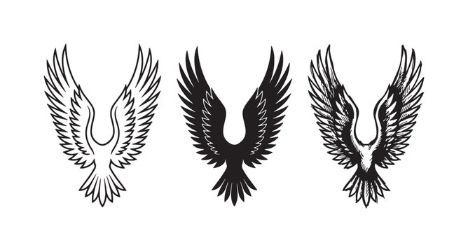Set of three binary code illustrations, showing outline, solid, and hand-drawn sketch styles with a data corruption effect on the right.