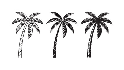 Naklejka premium Set of classic coconut palm tree illustrations: outline, solid black silhouette, and detailed hand-drawn sketch, embodying tropical vibes.