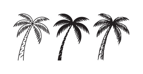 Obraz premium Coconut palm tree design set featuring outline, solid black, and hand-drawn sketch versions, perfect for tropical and island themes.