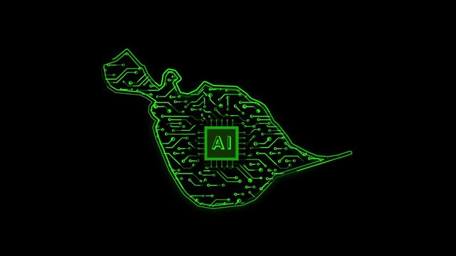 Heard Island and McDonald Islands Country Map Chipset Technology Opener, Suitable for Tech Events, Science Programs, News and Artificial Intelligence Presentations