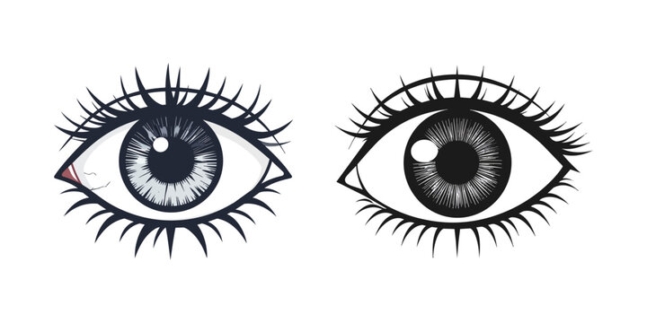Close-up illustration of two human eyes with long eyelashes on white background