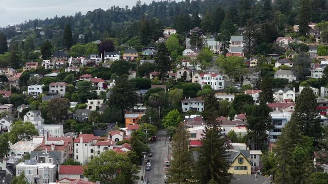 Berkeley hillside neighborhood with eclectic single-family homes climbing densely wooded slopes, tree-lined street cutting through blocks under overcast skies. California, USA. Aerial flyover shot