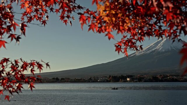 Camera slowly pans right to reveal Mount Fuji with its snow-capped peak behind vibrant red autumn momiji leaves next to Lake Kawaguchiko in Japan