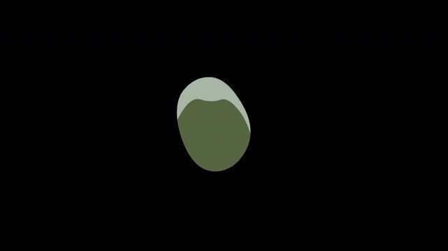Floral Elegant Green revealing organic growing botanical elements Animation
