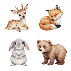 Fototapeta premium Woodland creatures collection featuring a baby deer, sleeping fox, fluffy rabbit, and small bear cub are displayed as individual illustrations on a plain white surface.