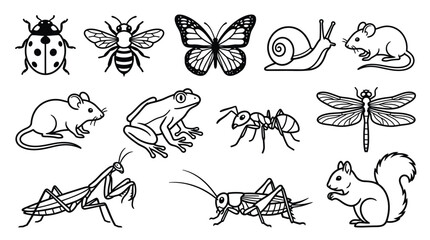 Collection of various insects and small animals, isolated white background. © Rifki