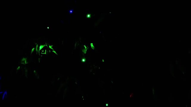 Tiny green neon string lights glowing on dark outdoor plants and bushes in pitch black night