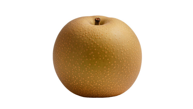 Round golden Nashi pear with brown stem and speckled skin