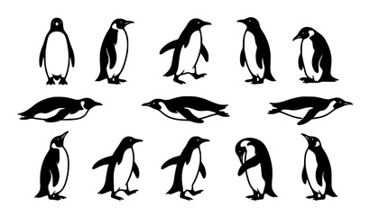 Penguin Silhouette Collection Showing Various Standing Walking and Swimming Poses © Shakib