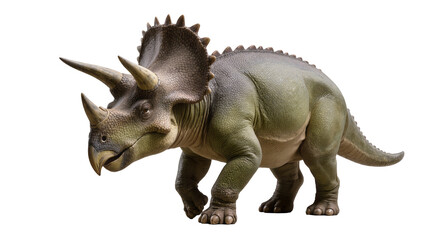 Fototapeta premium Triceratops dinosaur with three horns and frill