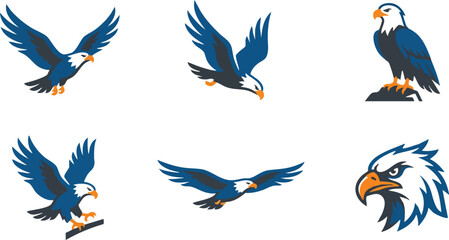 Obraz premium Collection of Bald Eagle Flying Poses Set Isolated on White Background