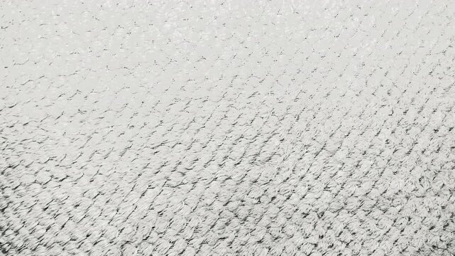 macro tracking shot reveals white textured fabric shifting under soft natural light creating a gentle comforting atmosphere