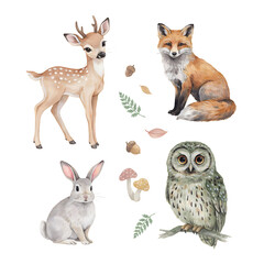 Fototapeta premium Forest inhabitants such as a spotted deer, red fox, gray rabbit, and owl appear with seasonal items.